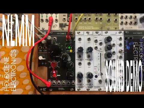 Holocene Electronics Non-Linear Memory Machine Eurorack Module Free Shipping! image 6