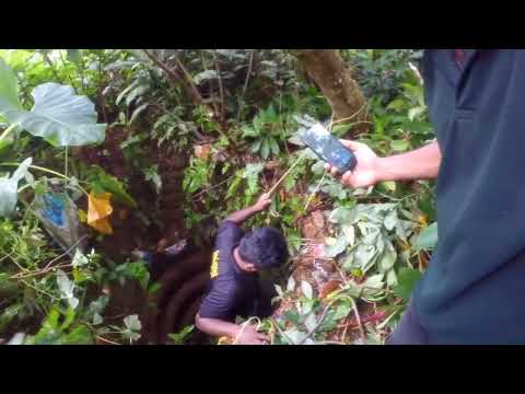rescue of a stray dog fell inside the well