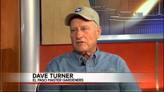 ABC-7 at Noon: El Paso Master Gardeners