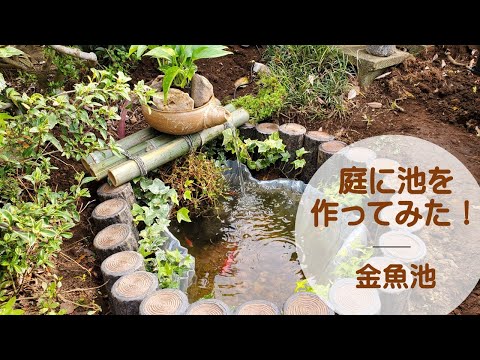 これが自然の池を正しく作成する方法です 庭の練習