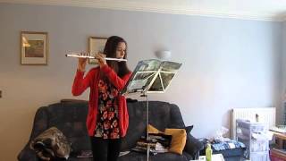 Me playing 'Farewell to Dobby' on flute