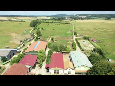 Centro di stagione cavallo In vendita Haute-Saône