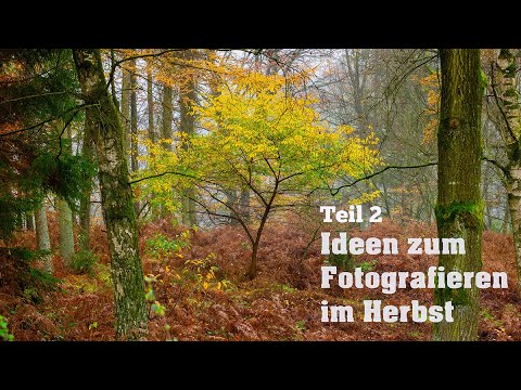 Ideen zum Fotografieren im Herbst - Teil 2 -  Eckernförde - Schleswig-Holstein