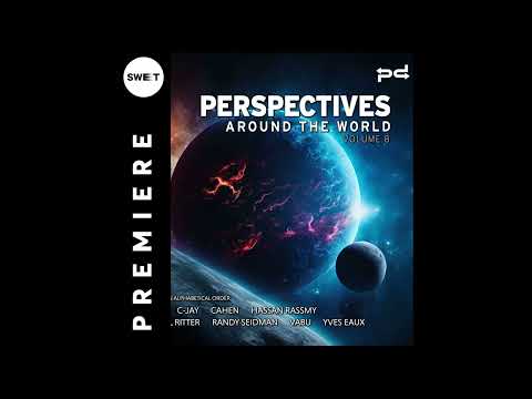 PREMIERE : Randy Seidman & Michael Ritter - Falling (Original Mix) [Perspectives Digital]