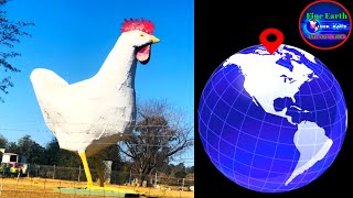 OMG ! Giant Cock 🐓 on Google Earth