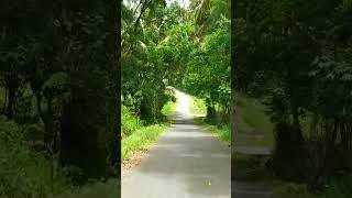 Download lagu Jalan pedesaan yang indah #shorts #short #shortvideo mp3