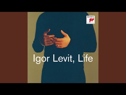 Fantasia after J. S. Bach, BV 253