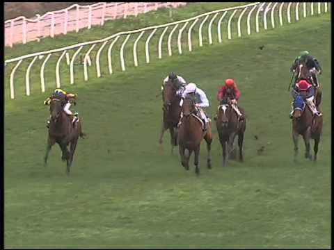 Galoppo 23/01/2015 - 3° corsa