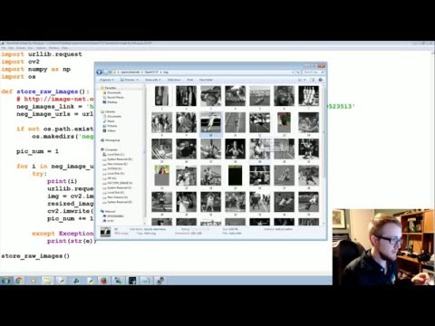 Gathering Images for Haar Cascade OpenCV with Python for Image and Video Analysis 18