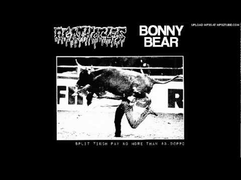 Bonny Bear - El King
