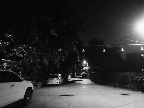 Mixed Signals – Last Known Species (Loop)