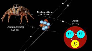 How Big is a Particle | Size Comparison of the Universe | Man to Planck Length