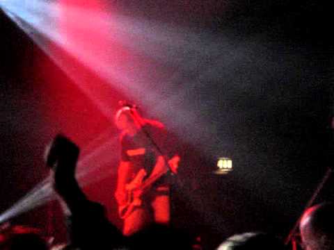 Everything's A.O.R. - Half Man Half Biscuit