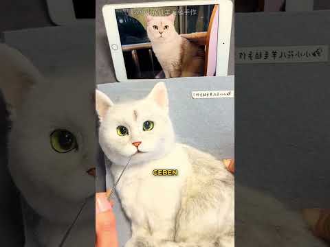 Die Katze dieses Besitzers ist verstorben...
