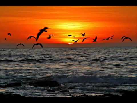 PARA VER EL SOL _  AUTOR PANCHO MARTELL _  TRIO ARPEGIOS DE FE.