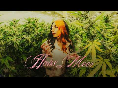 Aylo - Haus am Meer (Official Music Video)