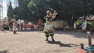 Download Lagu Danza San Isidro Labrador, Comp Alejandro Lugo, Vanesa Rodrigues ,San Miguel Octopan, Celaya Gto Thumbnail