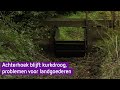 Droogte funest voor landgoederen: 'Historische bomen moeten worden gekapt'