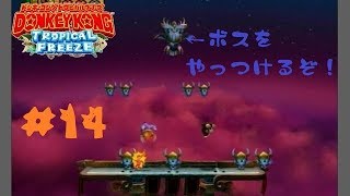 【ドンキーコングＴＦ】2－ボス「お山の大将スカール」