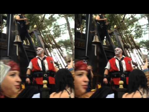 What Do You Do With a Drunkin Pirate