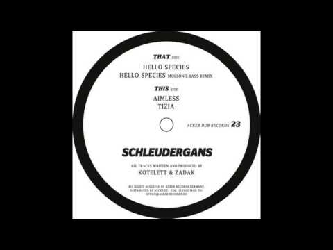 Kotelett & Zadak - Hello Species (Mollono.Bass Remix)
