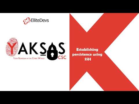 Establishing persistence using SSH
