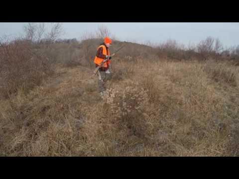 Pheasant Tower Shoot 12-11-16