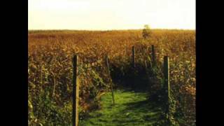 Herrmann & Kleine - Her Tune