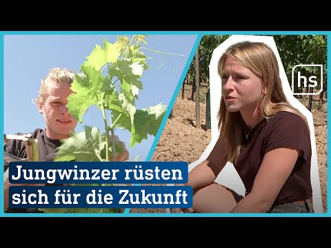 PIWIs, CO-2-neutrale Flaschen und Co: So wollen Jungwinzer im Weinbau neue Wege gehen | hessenschau