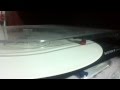 London- Patrick Wolf (Sundark And Riverlight ...