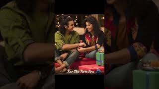 New Photoshoot Ideas For Rakshabandhan | Brother & Sister Poses Ideas at home