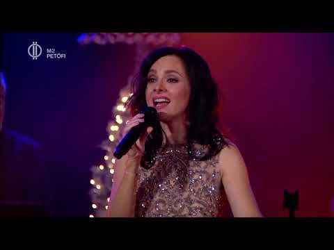 Létray Ákos Artist- Zséda - Mennem Kell Tovább (Akusztik -M2 Petőfi Tv)