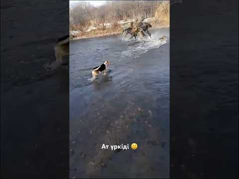 #kazakhstan🇰🇿 #fishing 🐠#охота