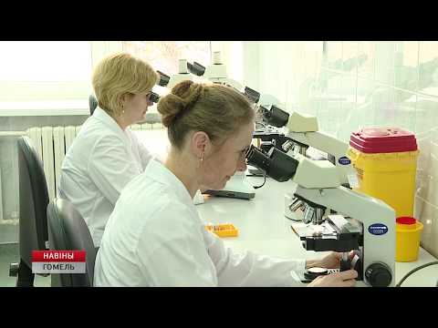 У Беларусі актывізаваліся кляшчы видео