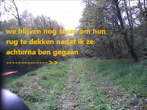 toothsquad @ operation Hellraiser van UXP (5)