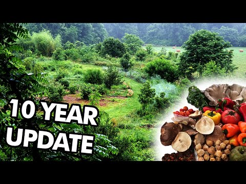 EDIBLE FOREST GARDEN · Grow Food & Heal the Earth · Lessons Learned