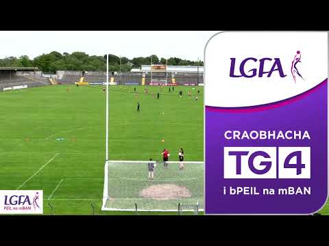 2022 06/12 Clare v Louth - TG4 Intermediate Championship Group B Round 3