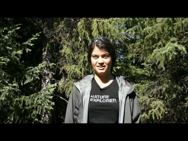 Mon premier stage à la MGDEF – par Caroline