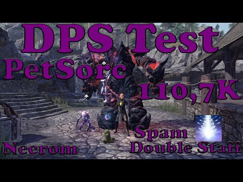 ESO|PetSorc 110,7K|Necrom|Spam crystal fragments|Double Staff|PS5