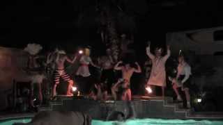 AMERICA'S GOT TALENT LIVE 2013 Cast do the HARLEM SHAKE!!