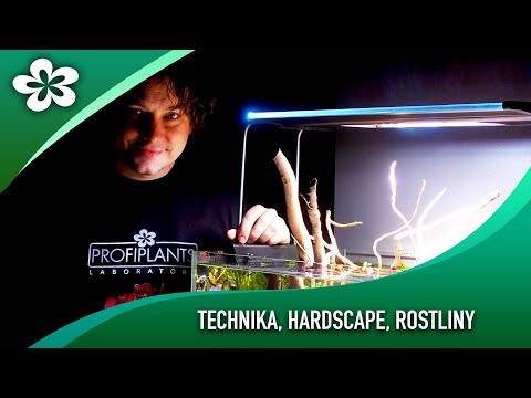 Zakládání akvária s prvotřídní technikou