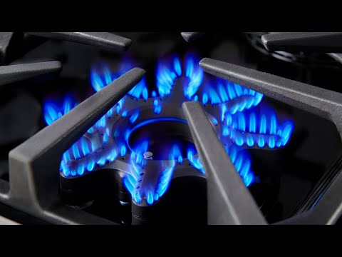 BLUESTAR X-8 DUAL FUEL BURNER