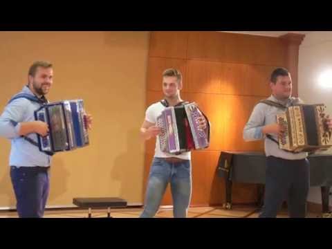 Tomaž Boškin - Rutar Harmonika 2-1 © OlmHERZ