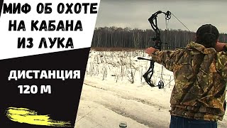 Смотреть онлайн Зимняя охота на кабана с блочным луком и гончей