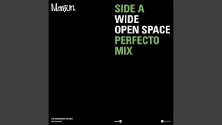 Wide Open Space (Perfecto Mix)