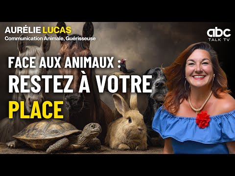 Communication animale : quand l’animal devient miroir de l’humain - Aurélie LUCAS