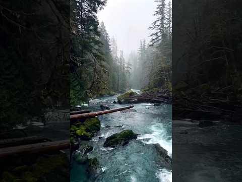 Cuando nuestro corazón tiene prisa, el agua de Dios calma el alma ...