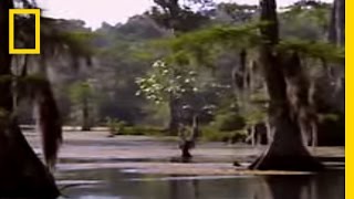 Ice Age People in Florida? | National Geographic