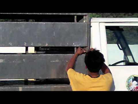 GPFC SAN JOSE SUMMER RACE