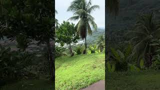 Rabaul smoking volcano Caldera you can see it on the ship tour and Papua New Guinea ￼
